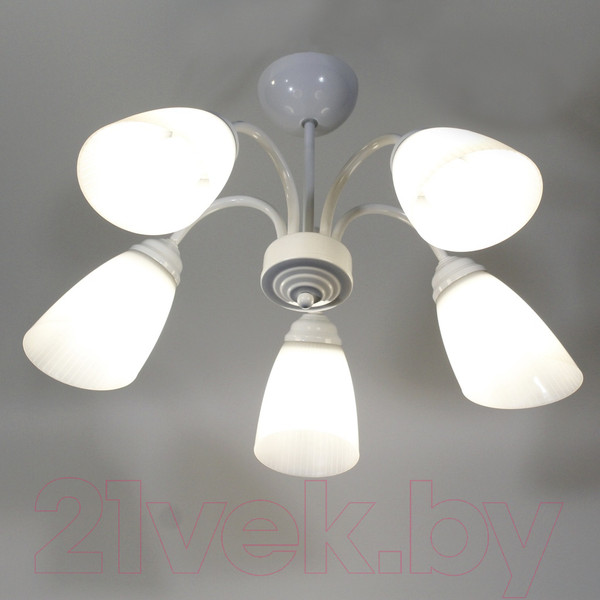 Изображение товара Люстра Элетех Джина 251 НСБ 01-5х60-130 Е27 / 1005404997 (белый)