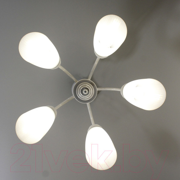 Изображение товара Люстра Элетех Джина 251 НСБ 01-5х60-130 Е27 / 1005404997 (белый)