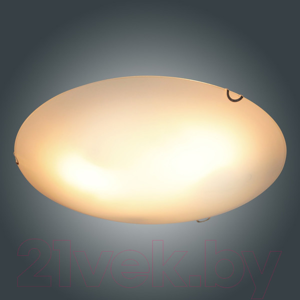 Изображение товара Потолочный светильник Элетех Бриз 400 НПБ 06-3х60 М65 / 1005206051 (матовый белый)