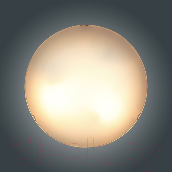 Изображение товара Потолочный светильник Элетех Бриз 400 НПБ 06-3х60 М65 / 1005206051 (матовый белый)