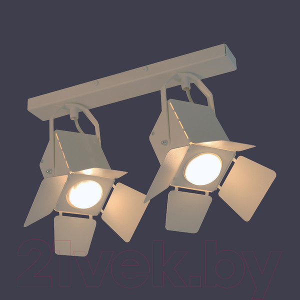 Изображение товара Спот Элетех Кино НПБ 01-2х60-515 / 1005404534 (белый матовый/белый)