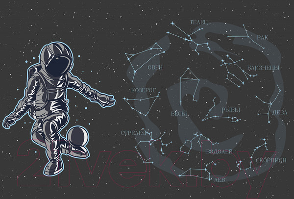 Изображение товара Фотообои листовые Vimala Астронавт в космосе (270x400)