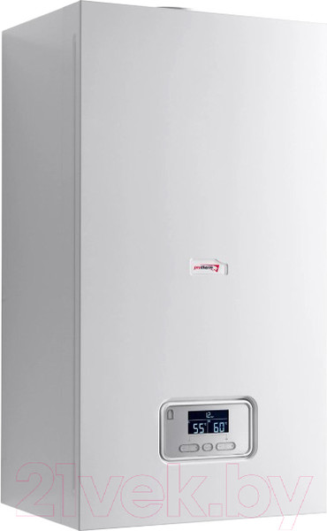 Изображение товара Газовый котел Protherm Пантера 25 КТО