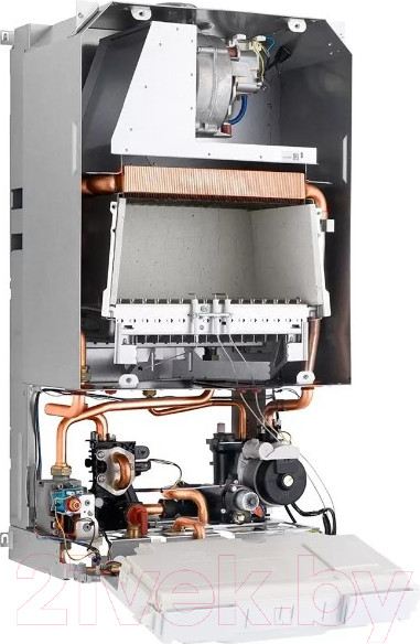 Изображение товара Газовый котел Protherm Пантера 25 КТО