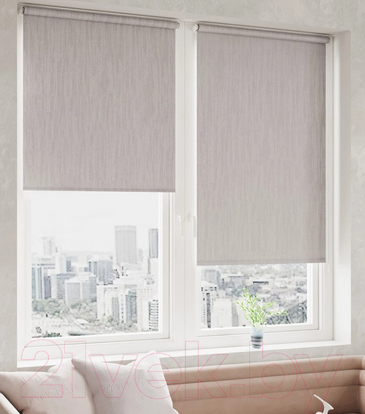 Изображение товара Рулонная штора LEGRAND Сидней 42.5x175 / 58103836 (муссон)