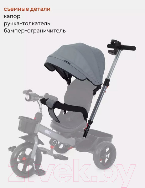 Изображение товара Трехколесный велосипед с ручкой Rant Basic Ghost / RB250 (серый)