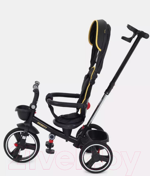 Изображение товара Трехколесный велосипед с ручкой Rant Gravity / RB200 (графит)