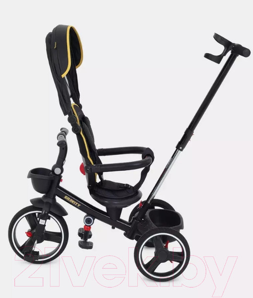 Изображение товара Трехколесный велосипед с ручкой Rant Gravity / RB200 (графит)