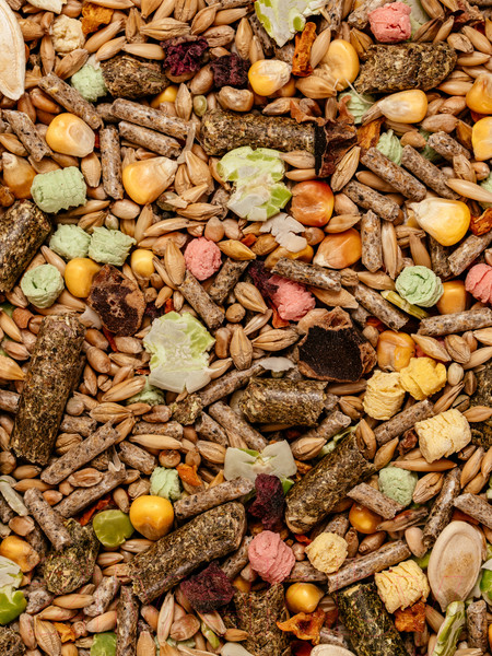 Изображение товара Корм для грызунов Mikimeals Для кроликов (800г)