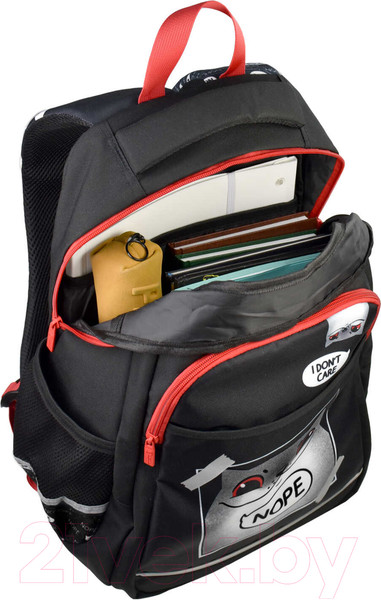 Изображение товара Школьный рюкзак Феникс+ Дерзкий кот / 61408