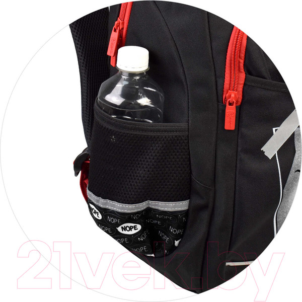 Изображение товара Школьный рюкзак Феникс+ Дерзкий кот / 61408