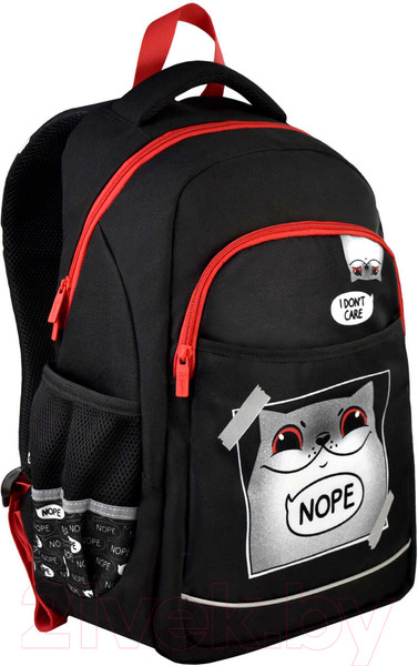 Изображение товара Школьный рюкзак Феникс+ Дерзкий кот / 61408