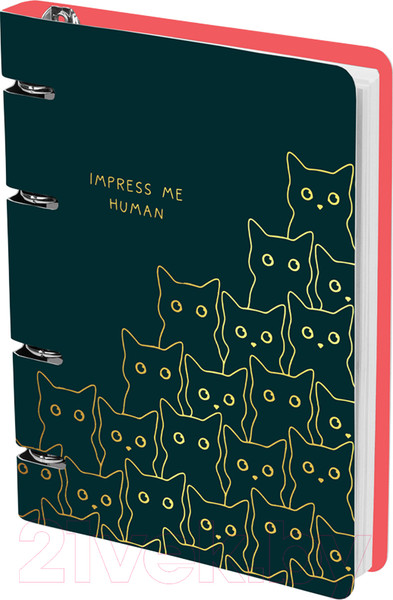 Изображение товара Тетрадь Meshu Amazing Cats / MS_50665 (100л)