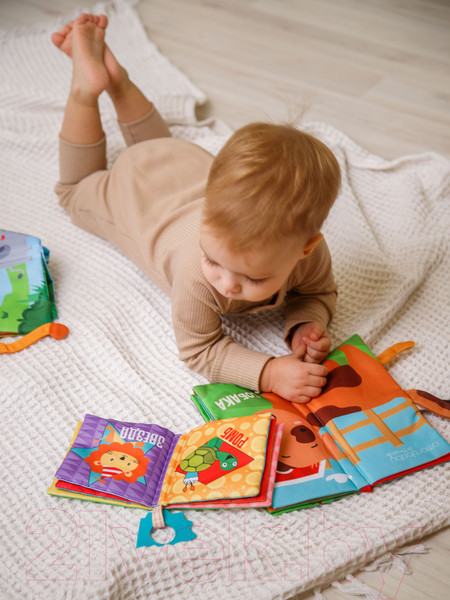 Изображение товара Развивающая игрушка Amarobaby Книжка-игрушка с грызунком Soft Book Транспорт / AMARO-201SBT/28