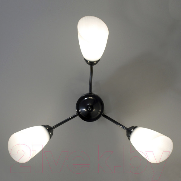 Изображение товара Люстра Элетех Китти 131 НПБ 01-3х60-194 Е27 / 1005404451 (хром)