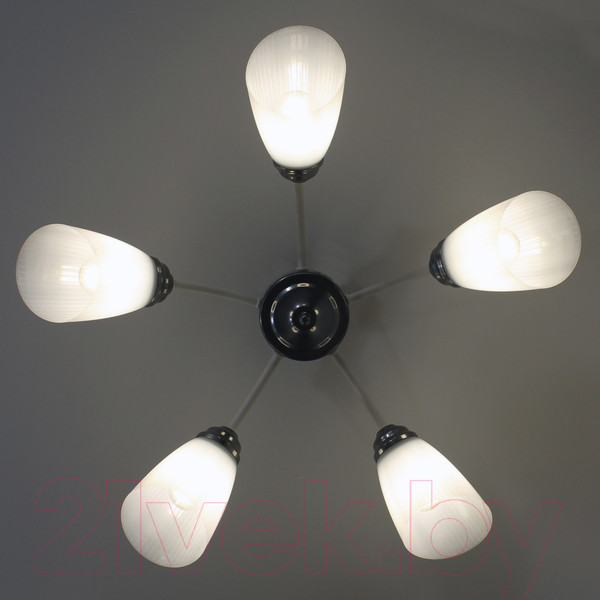 Изображение товара Люстра Элетех Китти 151 НПБ 01-5х60-134 Е27 / 1005405001 (белый/хром)