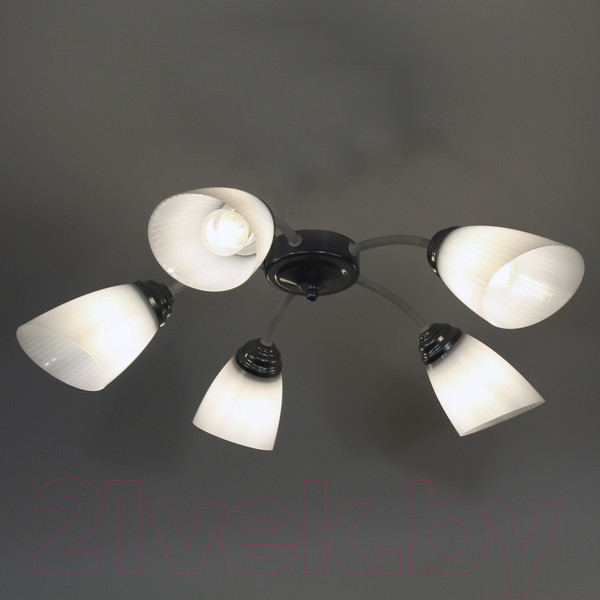 Изображение товара Люстра Элетех Китти 151 НПБ 01-5х60-134 Е27 / 1005405001 (белый/хром)