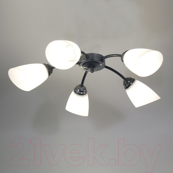 Изображение товара Люстра Элетех Китти 151 НПБ 01-5х60-134 Е27 / 1005404453 (хром)