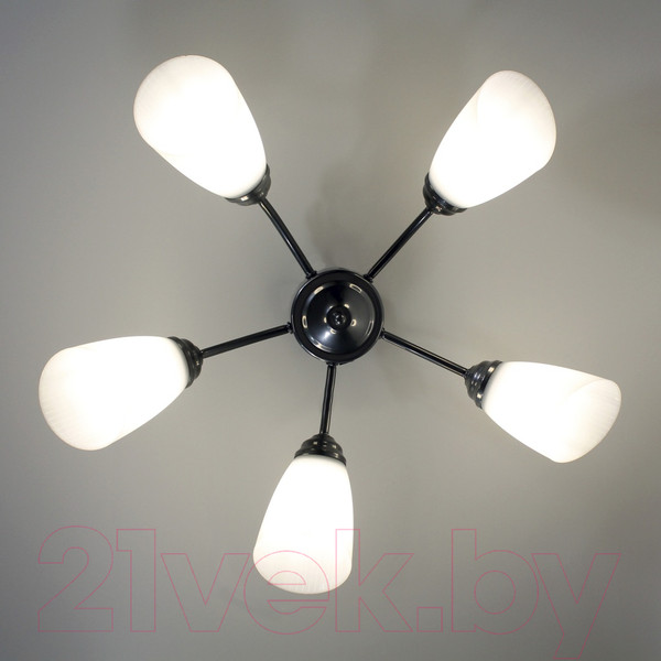 Изображение товара Люстра Элетех Китти 151 НПБ 01-5х60-134 Е27 / 1005404453 (хром)