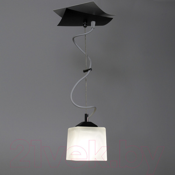 Изображение товара Потолочный светильник Элетех Конверт 213 НСБ 01-60-105 Е27 / 1005403245 (черный/белый)