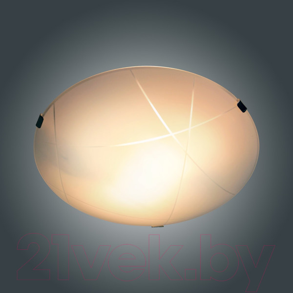 Изображение товара Потолочный светильник Элетех Контур 300 НПБ 01-2х60-139 М16 / 1005206056 (матовый белый)