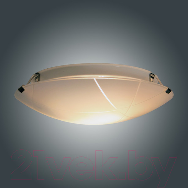 Изображение товара Потолочный светильник Элетех Контур 300 НПБ 01-2х60-139 М16 / 1005206056 (матовый белый)