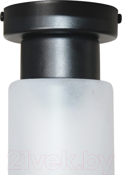 Изображение товара Потолочный светильник Элетех Крош 111 НПБ 01-60-104 Е27 / 1005404607 (черный муар)