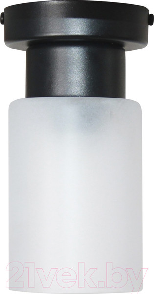 Изображение товара Потолочный светильник Элетех Крош 111 НПБ 01-60-104 Е27 / 1005404607 (черный муар)