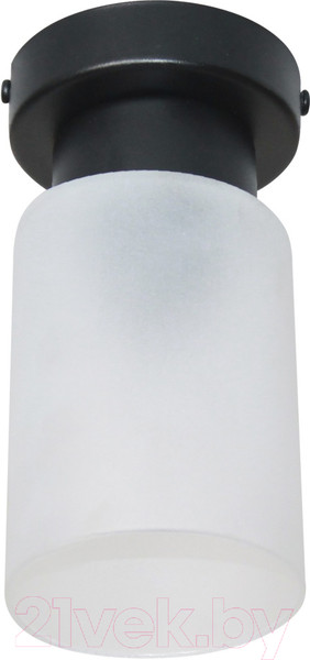 Изображение товара Потолочный светильник Элетех Крош 111 НПБ 01-60-104 Е27 / 1005404607 (черный муар)