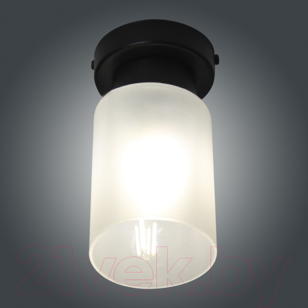 Изображение товара Потолочный светильник Элетех Крош 111 НПБ 01-60-104 Е27 / 1005404607 (черный муар)