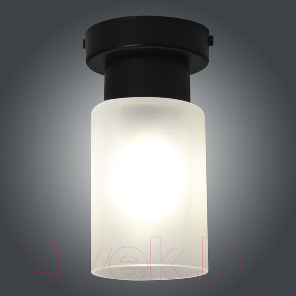 Изображение товара Потолочный светильник Элетех Крош 111 НПБ 01-60-104 Е27 / 1005404607 (черный муар)