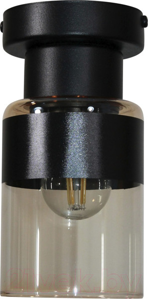 Изображение товара Потолочный светильник Элетех Крош 111 НПБ 01-60-104 Е27 / 1005404606 (черный муар)