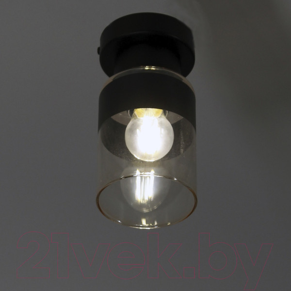 Изображение товара Потолочный светильник Элетех Крош 111 НПБ 01-60-104 Е27 / 1005404606 (черный муар)