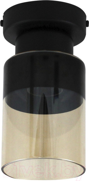 Изображение товара Потолочный светильник Элетех Крош 111 НПБ 01-60-104 Е27 / 1005404606 (черный муар)