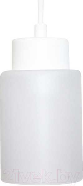 Изображение товара Потолочный светильник Элетех Крош 211 НСБ 01-60-152 Е27 / 1005404609 (белый муар)