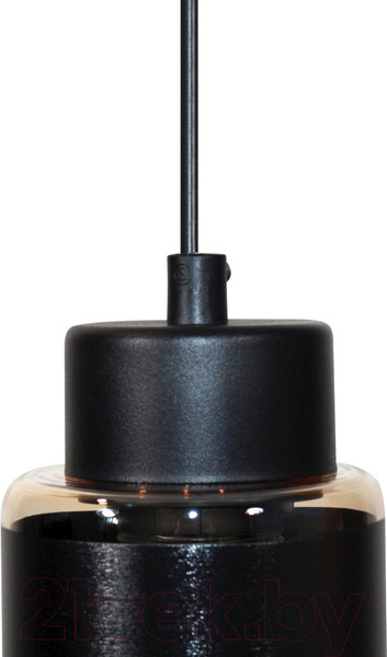 Изображение товара Потолочный светильник Элетех Крош 211 НСБ 01-60-152 Е27 / 1005404611 (черный муар)