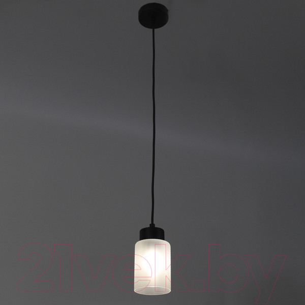 Изображение товара Потолочный светильник Элетех Крош 211 НСБ 01-60-152 Е27 / 1005404610 (черный муар)