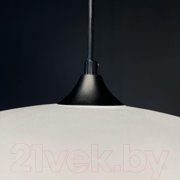 Изображение товара Потолочный светильник Imperiumloft Nord1 / 190502-26