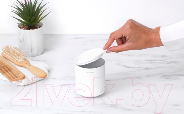 Изображение товара Банка в ванную Brabantia MindSet 303302 (минерально-белый)