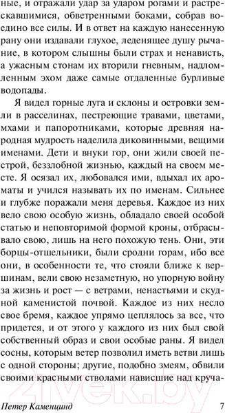 Изображение товара Художественная книга АСТ Петер Каменцинд (Гессе Г.)