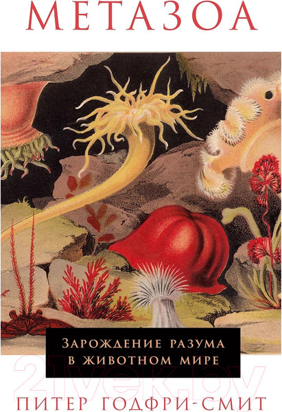 Изображение товара Книга Альпина Метазоа. Зарождение разума в животном мире (Годфри-Смит П.)