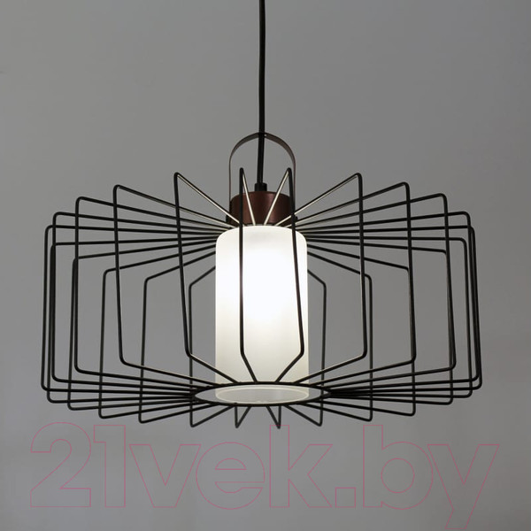 Изображение товара Потолочный светильник Элетех Манго 211 НСБ 01-60-171 Е27 / 1005405087 (черный муар)