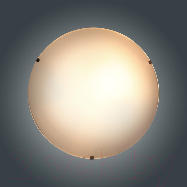 Изображение товара Потолочный светильник Элетех Мелани 300 НПБ 01-2х60-139 М16 / 1005206062 (матовый белый/эко)