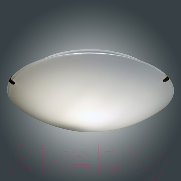 Изображение товара Потолочный светильник Элетех Нежность 250 НПБ 01-60-130 М15 / 1005206075 (белый матовый)