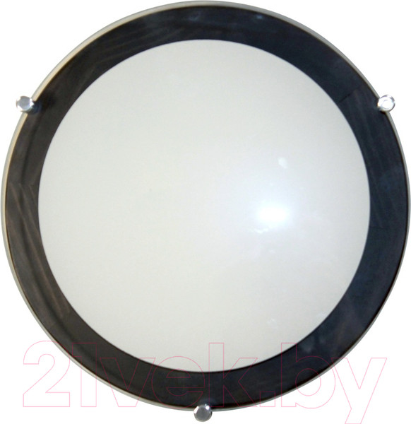 Изображение товара Потолочный светильник Элетех Полесье 300 НПБ 09-2х40-002 М95 / 1005205892 (белый/венге)