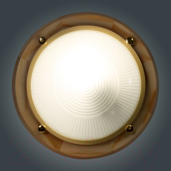 Изображение товара Светильник ЖКХ Элетех Самарканд 1301 НПП 03-60-013 IP65 / 1005501085 (сосна)