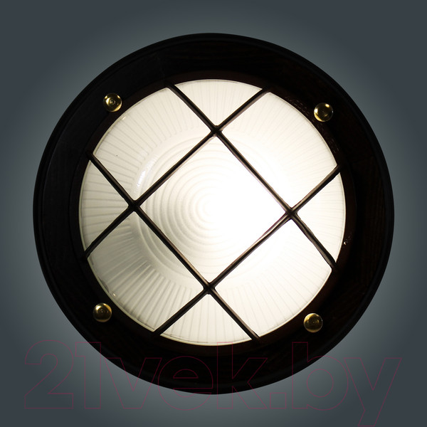 Изображение товара Светильник ЖКХ Элетех Самарканд 1302 НПП 03-60-014 IP65 / 1005501086 (венге)