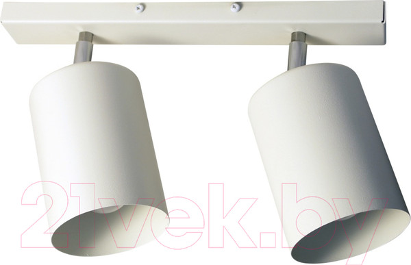 Изображение товара Спот Элетех НПБ 01-2х60-513 / 1005404514 (белый матовый)