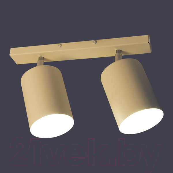 Изображение товара Спот Элетех НПБ 01-2х60-513 / 1005404514 (белый матовый)