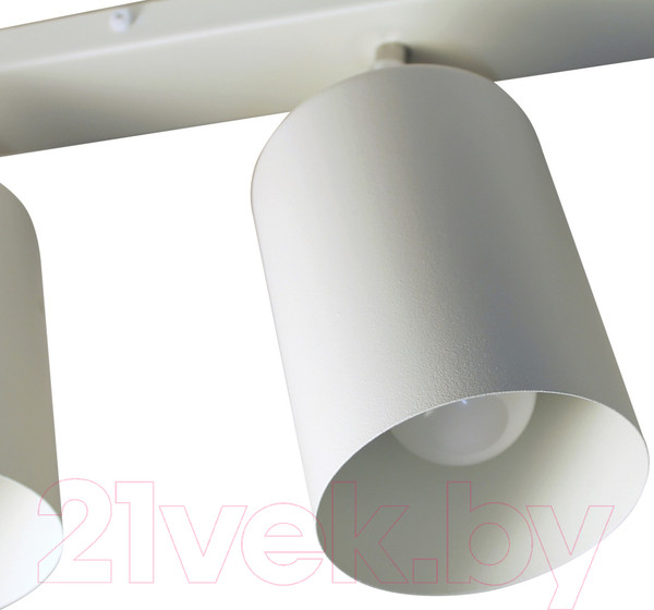 Изображение товара Спот Элетех НПБ 01-2х60-513 / 1005404514 (белый матовый)
